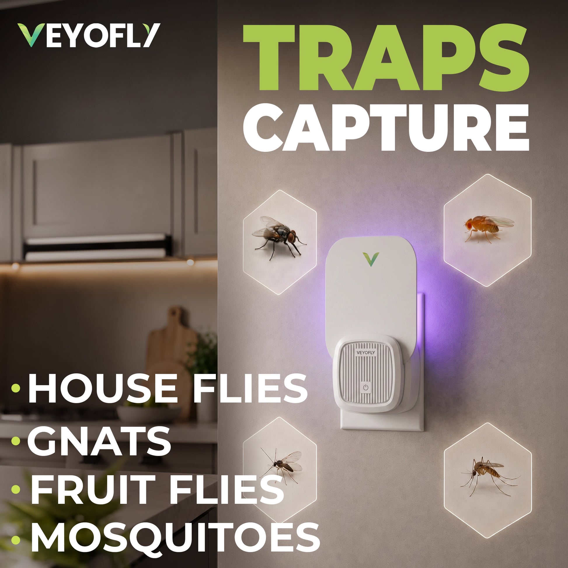 Fly Trap Indoor 