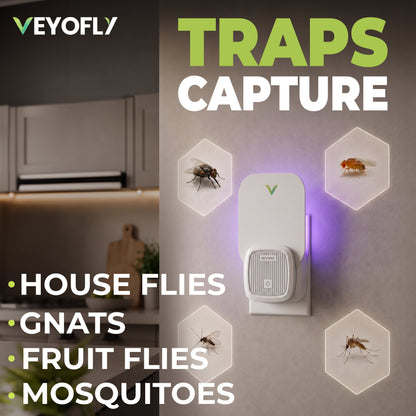 Fly Trap Indoor 