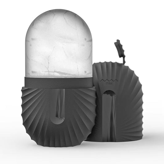 Ice Roller Gua Sha 